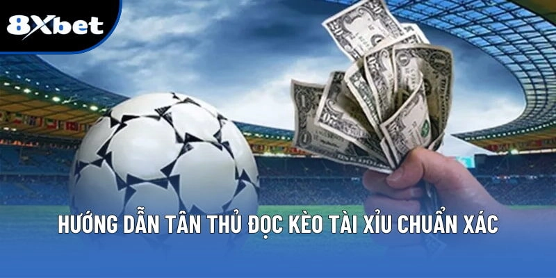 Tài Xỉu 1 Trái – Cách Chơi Hiệu Quả Cho Người Mới Tại 8XBET