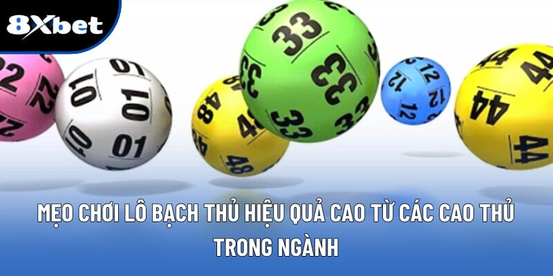 Mẹo chơi lô bạch thủ hiệu quả cao từ các cao thủ trong ngành