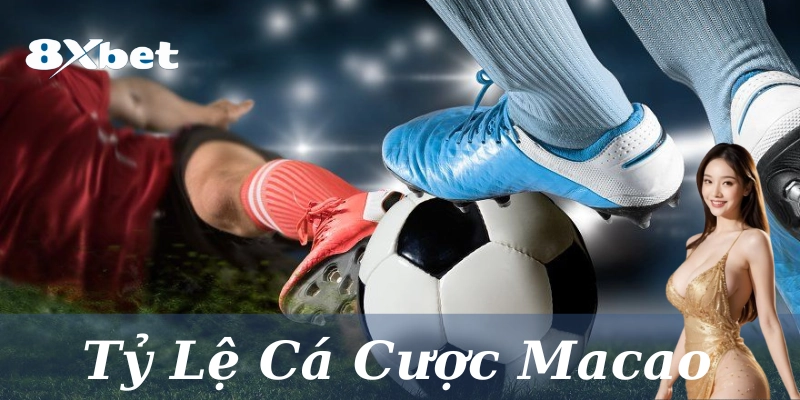 Giải thích định nghĩa Tỷ lệ cá cược Macao